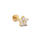 Piercing Small Cinquefoil