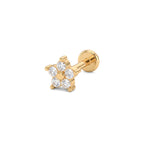 Piercing Small Cinquefoil