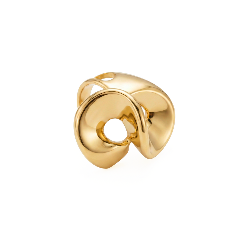 Anello Double Vortex