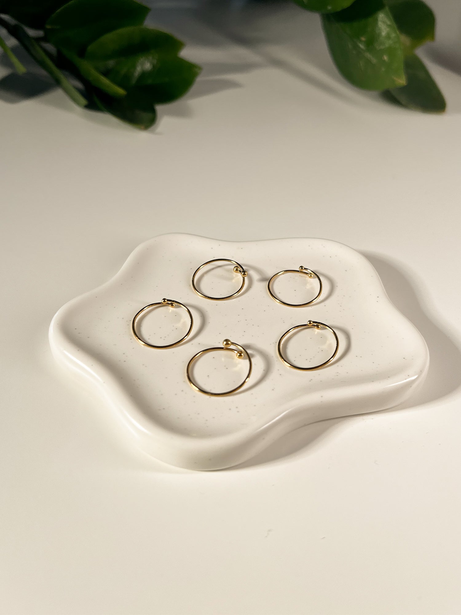 SET FERMA ANELLI
