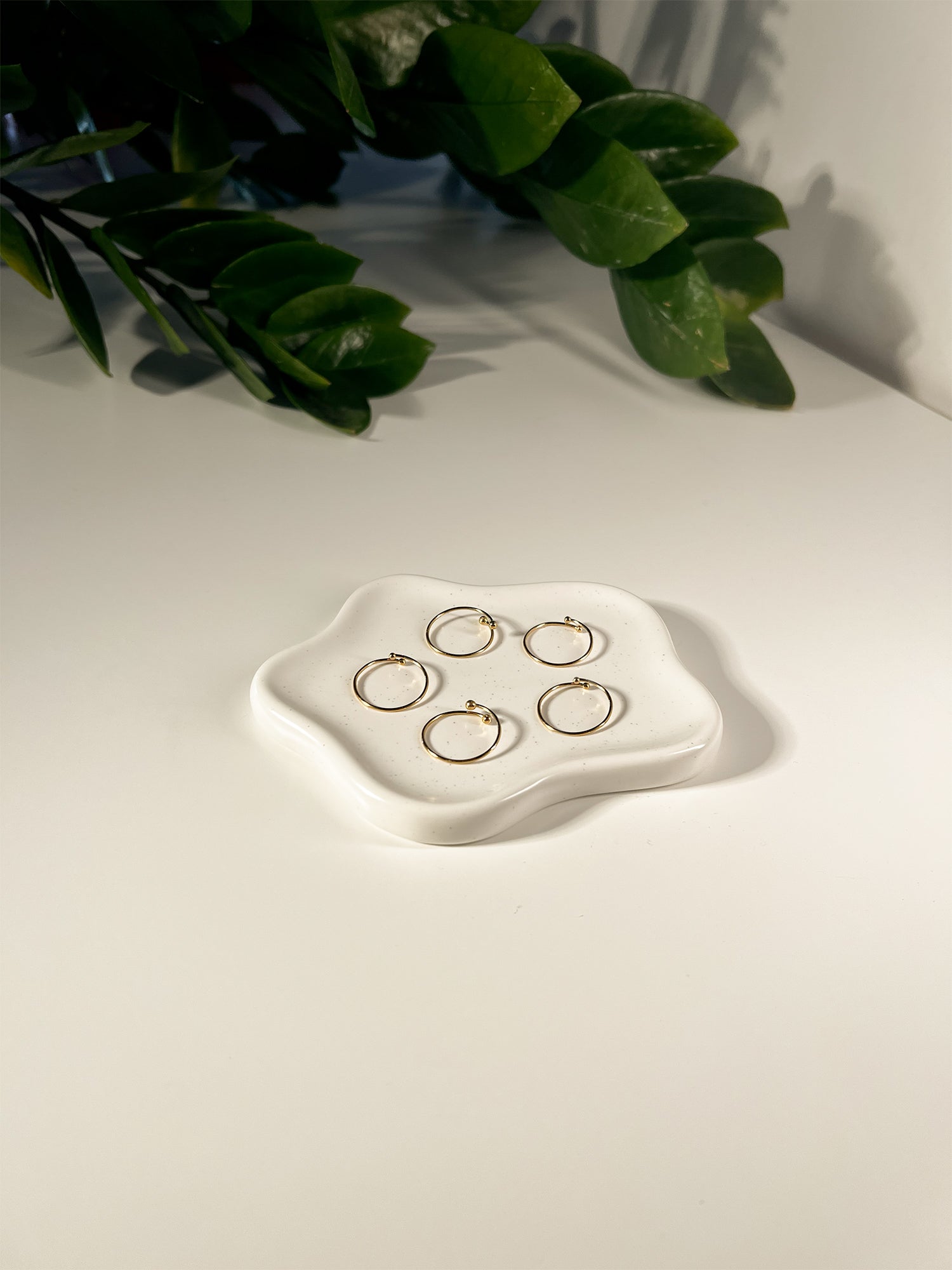 SET FERMA ANELLI