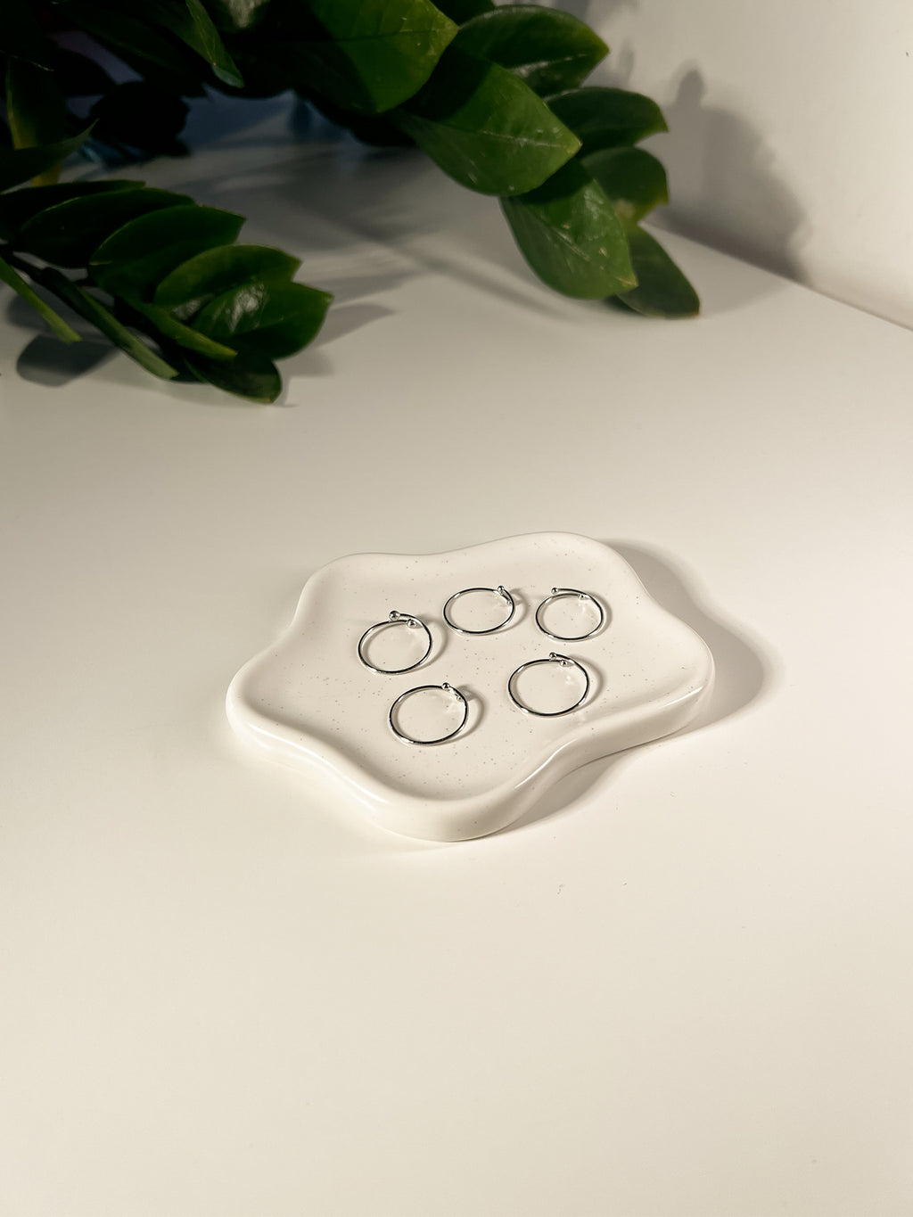 SET FERMA ANELLI